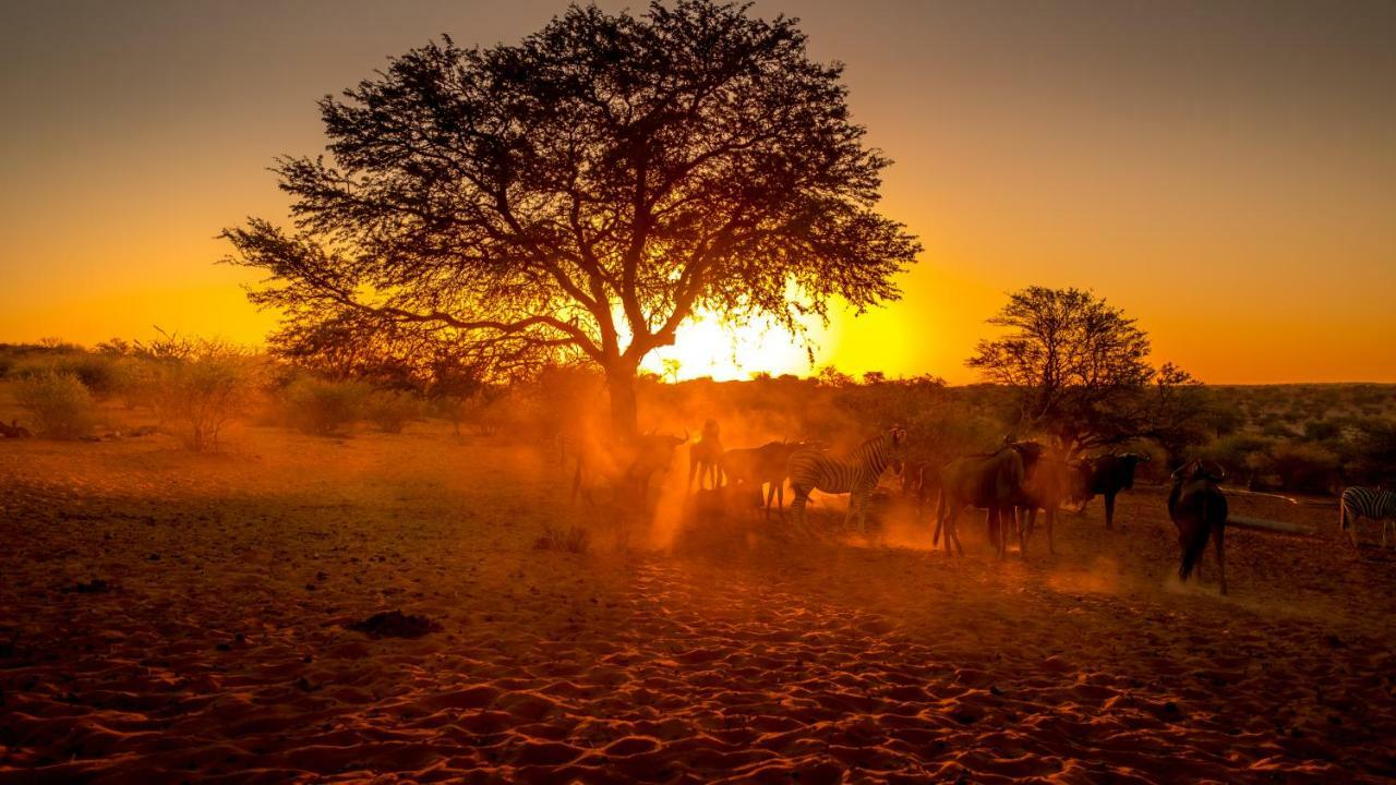 Bagatelle Kalahari Game Ranch Vila Hardap Exterior foto