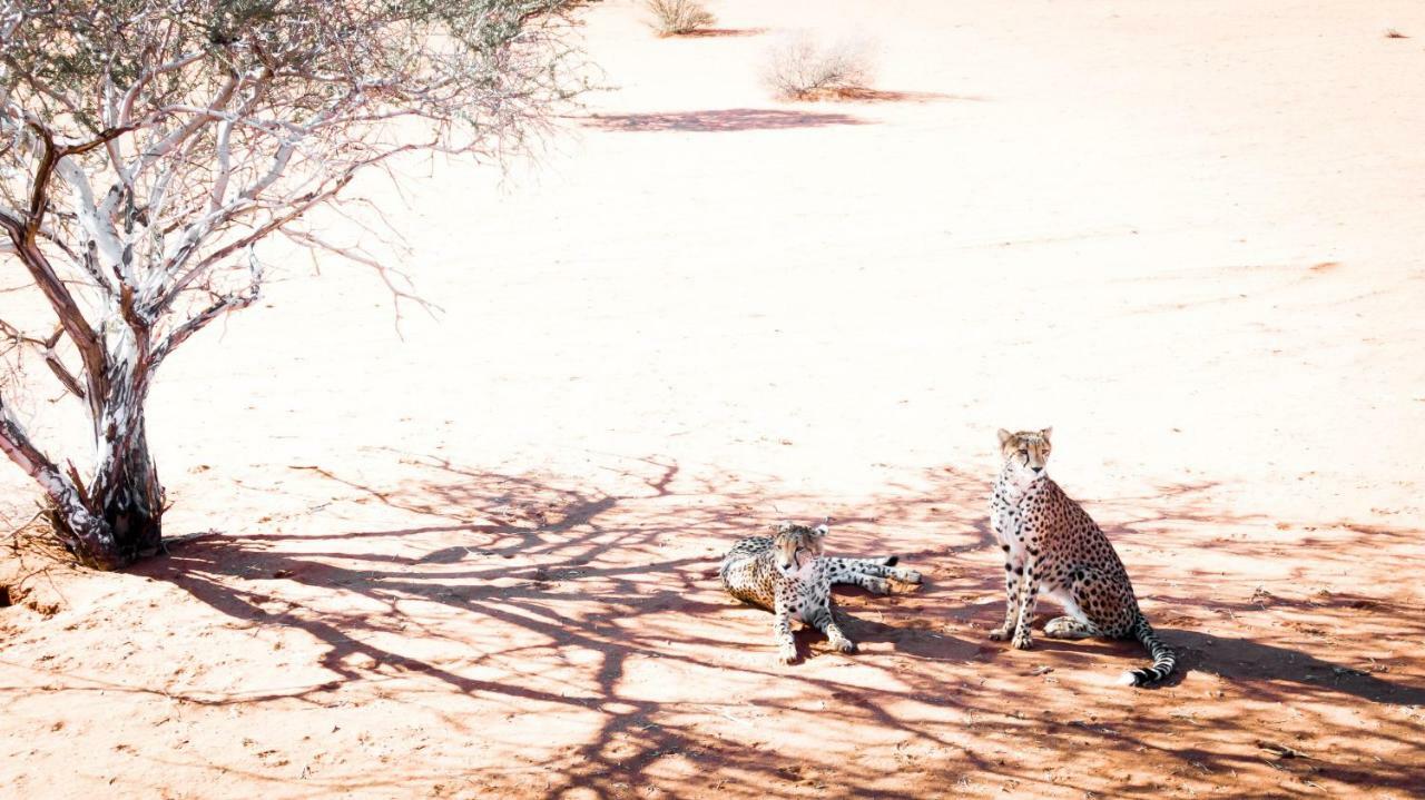 Bagatelle Kalahari Game Ranch Vila Hardap Exterior foto