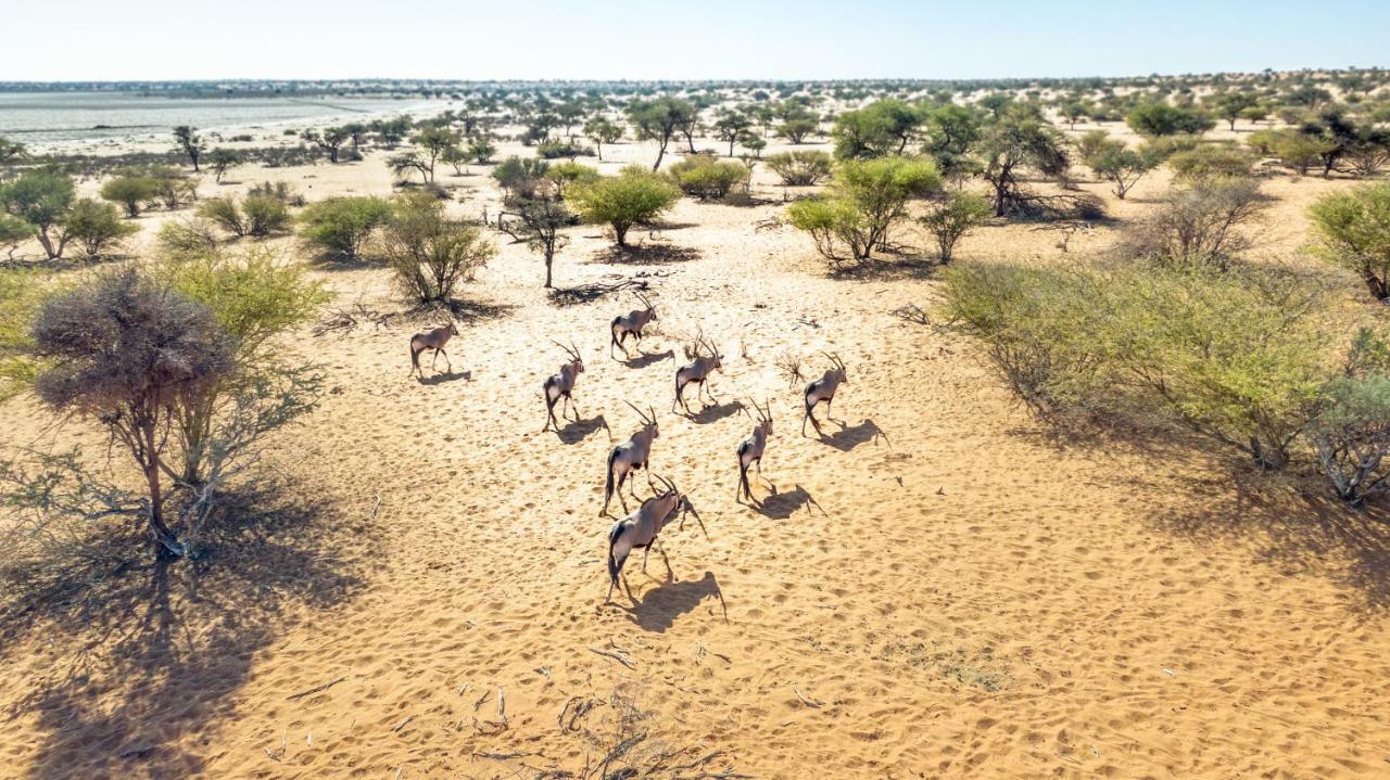Bagatelle Kalahari Game Ranch Vila Hardap Exterior foto